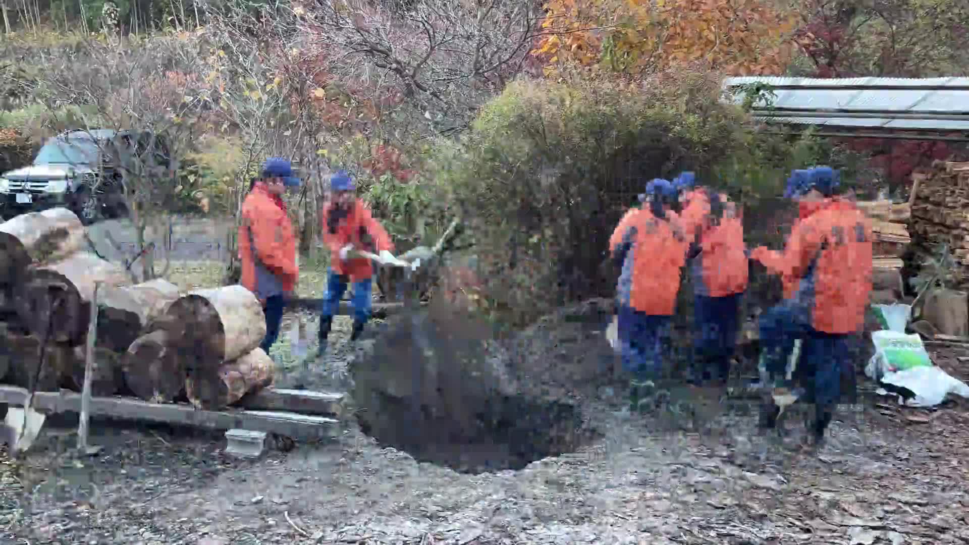 無可有の郷での桜植樹
